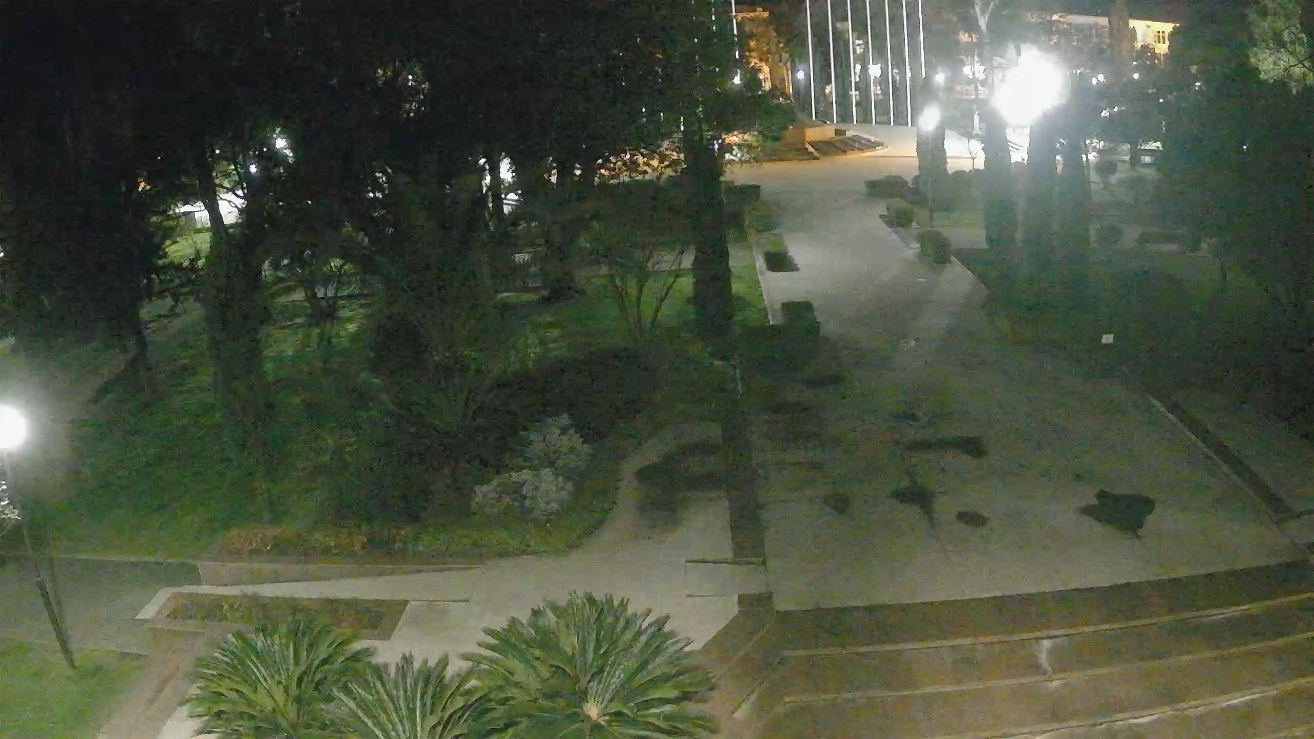 Батыс Гвинеядағы секс онлайн көру